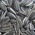 Wholesale 2019 New Harvest 361 Sunflower Seeds with Shell